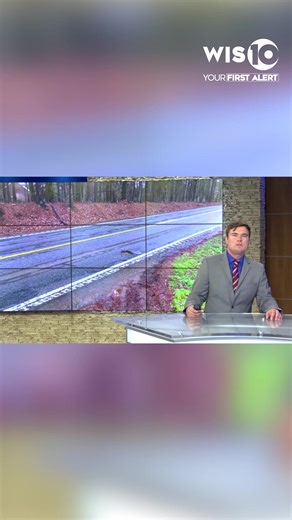 Nearly 10,000 cars travel Irmo Drive every day, and some neighbors say the road’s condition has become a safety concern that can no longer be ignored. Full story below. | WIS TV