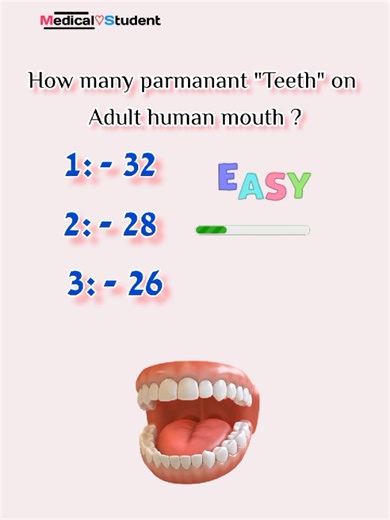 Understanding Permanent Teeth in Adult Humans
