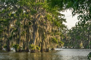 The Nature Conservancy and Lake Martin | The Heart of Louisiana
