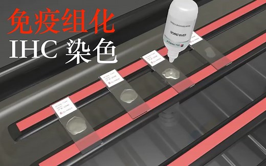 免疫组化染色讲解--IHC Staining