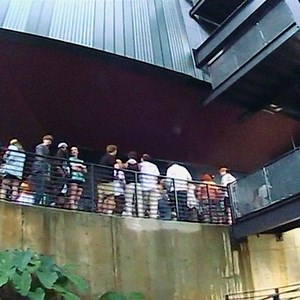 23 reactions | Ocean Alley on Reels | Facebook