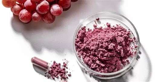 BioHarvest Sciences CEO discusses Saffron Tech partnership - ICYMI