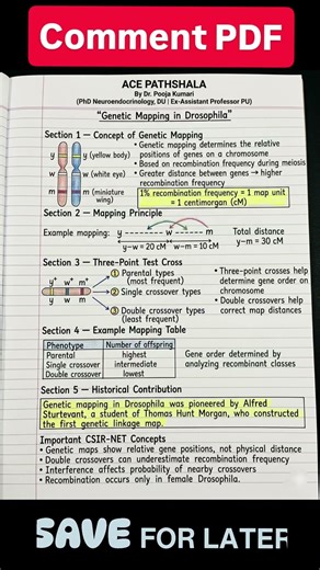 Genetic Mapping in Drosophila🔥| Linkage Recombination #csirnet #cuetpg #neetbiology #gatexl #gatb