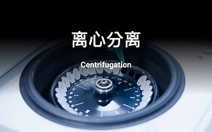 【分离过程】离心分离 Centrifugation