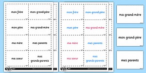 French Family Vocabulary Flashcards