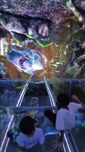 This Sci-Fi Room Will Blow Your Mind! ✨😱 Mirror Illusion World!”“Unbelievable Future-Tech Room! 🤯✨