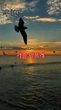 가슴 아프게. 박지현