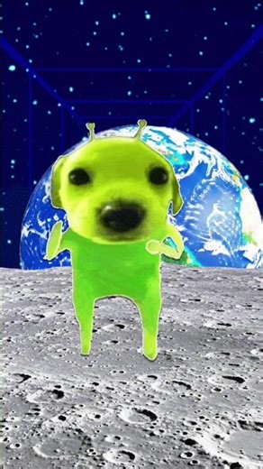 Funny alien dogs🤣