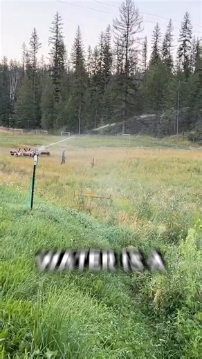 Having water available and being able to spread it around the homestead is important to water your animals and crops #homeasteading #wateringsystem | Homesteading Family