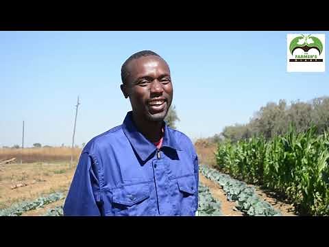 Young horticulture farmer with big dreams in Zimbabwe