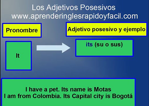 Adjetivos posesivos en inglés: My, Your, His, Her, Its, Our y Their