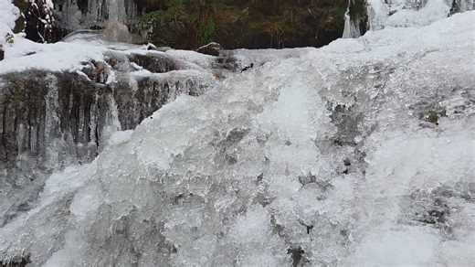 How great would this be in your backyard pond? Our gift certificate sale is ending January 31st! Discounted Fish Only Certificates and Koi Food Prebuy Certificates will only be available for 2 more weeks! After that, there will be no other discounts on fish food or gift certificates until November 2026! Get yours here: https://hanoverkoifarms.com/product-category/gift-certificates/ | Hanover Koi Farms LLC