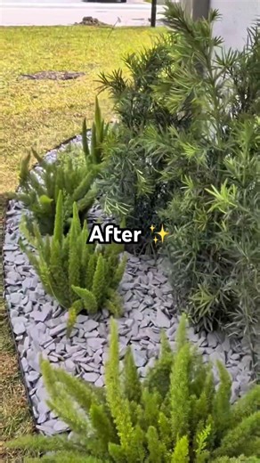 uplifting your vibe with a yard upgrade
