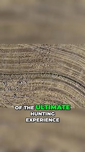 Is Texas goose hunting still any good? DU Nation answers that question in this episode. . . . . . You’ll meet seasoned El Campo guides who share their stories and take you through the challenges and camaraderie of hunting snow and specklebelly geese. From discussing the evolution of hunting practices to witnessing the thrill of the hunt, this episode captures the essence of waterfowl hunting in Texas. You’ll also get insights into how modern equipment has transformed the hunt and what the future