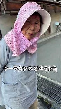 シイラの刺身👀🐟⁉️ #船長の日常 #淡路島