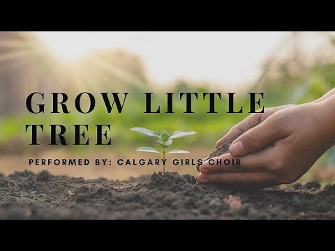 Grow Little Tree