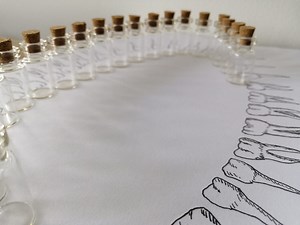 Metaphysical Healing Guidelines for oral health- Holistic Tooth Fairy