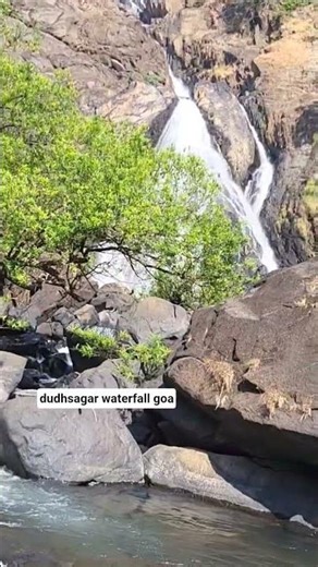 Goa trip | dudhsagar waterfall | adventure #shorts #trending
