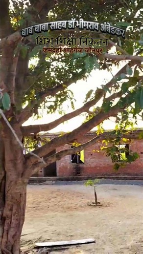 apna school 🎒🏫#apnacollge #youtubeshorts #गांव #school #missyouschoollife #shorts #trending #explore