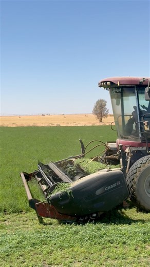 3.3K views · 29 reactions | case WD high powerful cutting machine #casetractor #machinery #reels #viral | Sajib Hossain | Facebook