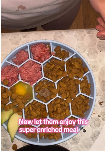 Cane Corso Feeding: Raw Diet for Healthy Growth