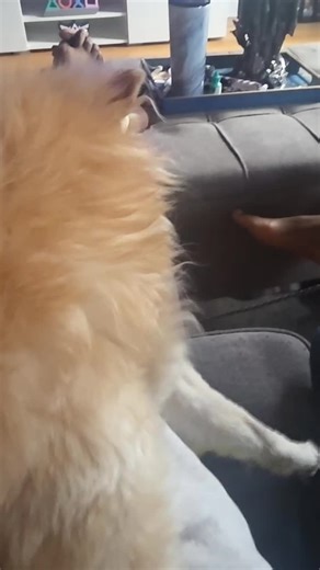 I cant handle the lickies! #fyp