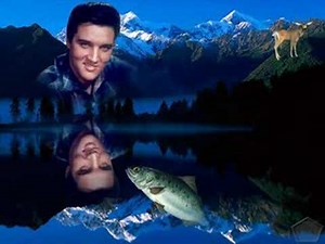 elvis tribute-georgia on my mind by doug church