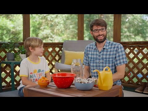 How Compost is Made | Science Experiment | Nature Time