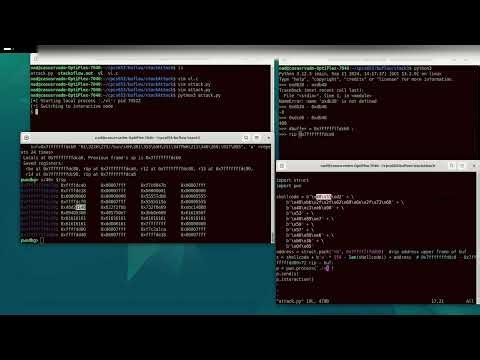 shellcode in stackoverflow