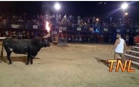 2015年第一季度悲剧傻缺视频合辑