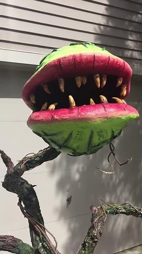 Man Eating Plant (Little Shop of Horrors)