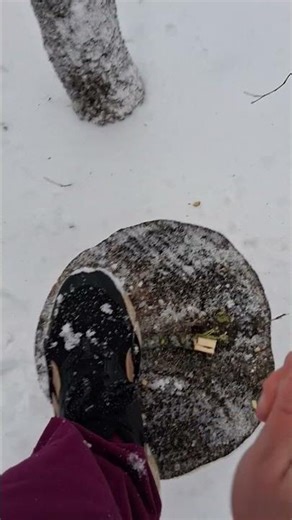 How to use a hatchet correctly