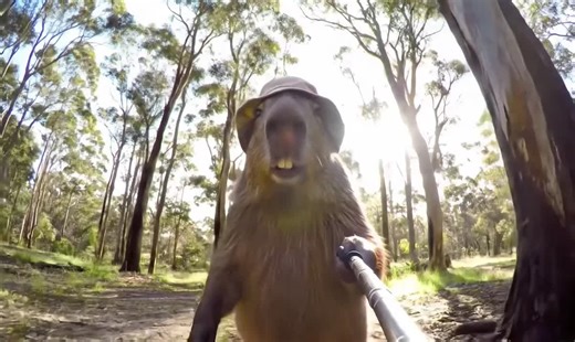 Eric the explorer - Vlog 5 #vlog #outdoors #cappybara #fyp