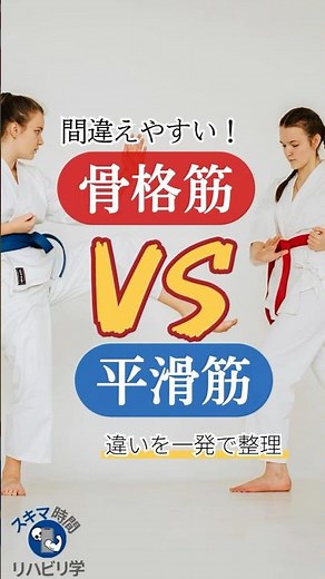 【違いは？】骨格筋vs平滑筋 違いを一発で整理！ #理学療法士国家試験 #作業療法士国家試験 #理学療法士 #作業療法士 #基礎 #筋肉 #骨格筋 #平滑筋