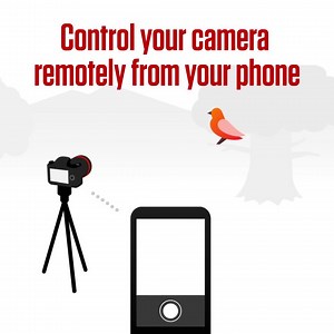 12K views · 22 comments | Ready to connect in new ways? Connect your camera to your device for remote shooting and to easily download your photos, ready for sharing  Êtes-vous prêt à vous connecter autrement? Connectez votre appareil photo à votre périphérique Apple ou Android pour effectuer des prises de vue à distance et télécharger facilement vos photos, pour un partage simplifié.  #CanonCNA #CameraConnect | Canon Central & North Africa | Facebook