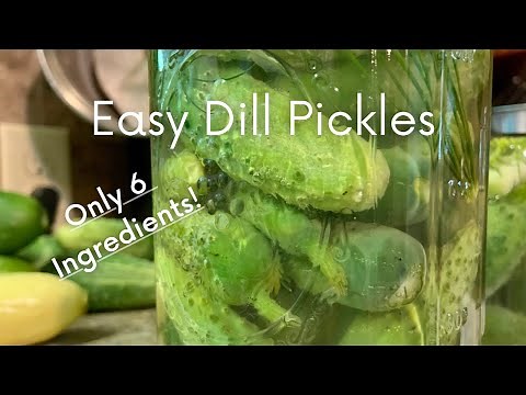 Simple Dill Pickles Using Simple Ingredients!