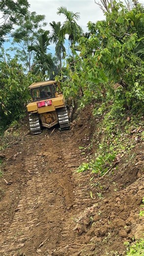 Oil Palm Land Clearing Project with D6R XL Bulldozer