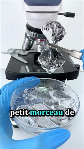 What's really hidden behind the ice? | Microscope #Ice #Microscope #Science #Facts #ShortsFR #Dis...