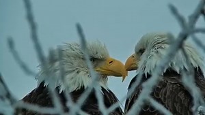 91K views · 12K reactions | On Saturday of January 7, we watched HM...