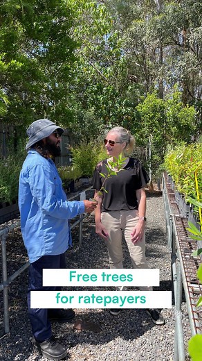 🌱Free trees for ratepayers. Sunshine Coast ratepayers are eligible to collect two free trees twice a year from our nursery. #freetrees #council #sunshinecoast