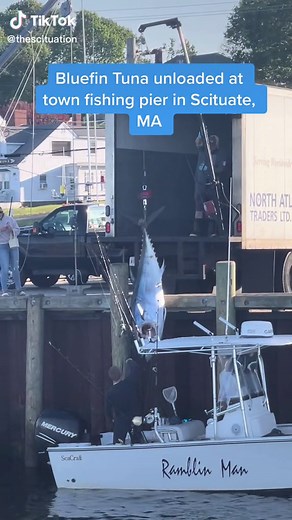 Exciting Bluefin Tuna Fishing in Massachusetts