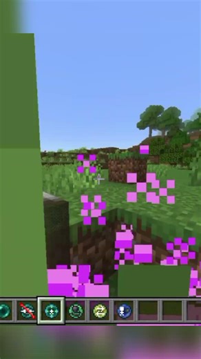 Macam Macam ENDER PEARL Di Minecraft