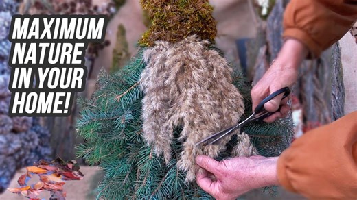 Spruce Twigs and Moss DIY Decor That Transforms Any Space