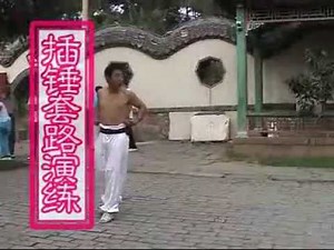 七星螳螂拳 插捶 （Seven Star Praying Mantis Boxing-cha chui）