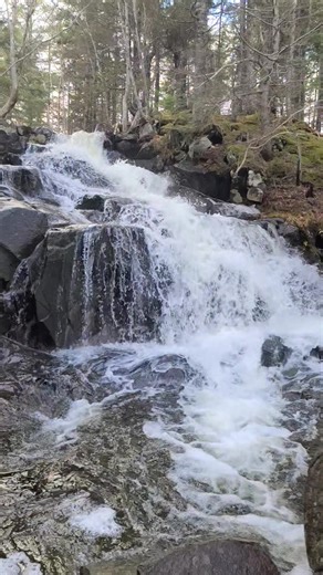 13 reactions | Hiked downstream to the huge joe brook waterfall from the upper crossroad. It's a longer hike than I remember :) | Deryck S. Shewchuk | Facebook