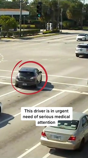 Public Heroes Rescue Woman from Highway Incident