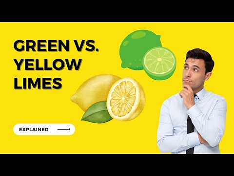 Why are my Limes Yellow? Green vs. Yellow Limes and the different varieties you can grow
