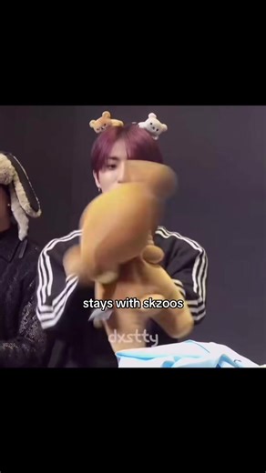 Stray Kids SKZoo Plushies: A Must-Have for Fans