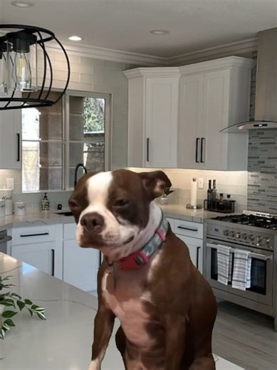 meme humor risa #meme #humor #risa