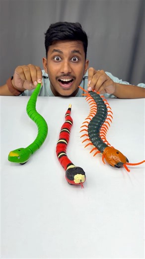 Realistic RC Snake Story Video